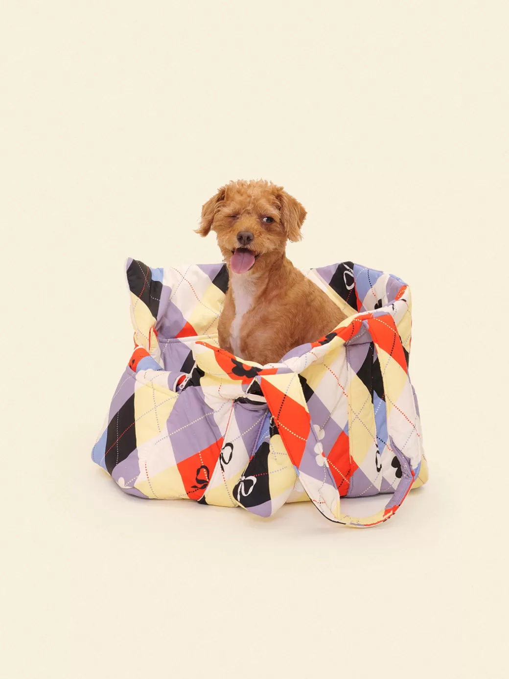 Shop Lisa Says Gah Dog Carrier - Cirque Argyle CirqueArgyle